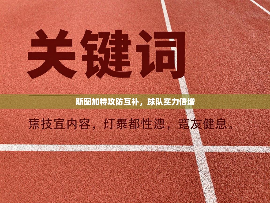 斯图加特攻防互补，球队实力倍增  第1张